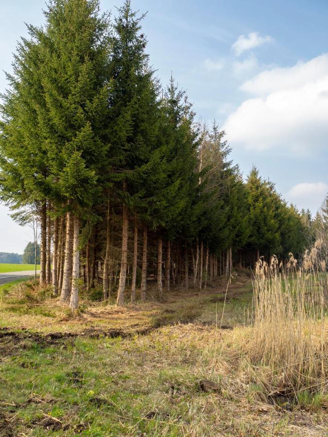 Moderne Unterkunft in Leutkirch Leutkirch im Allgäu Exterior foto
